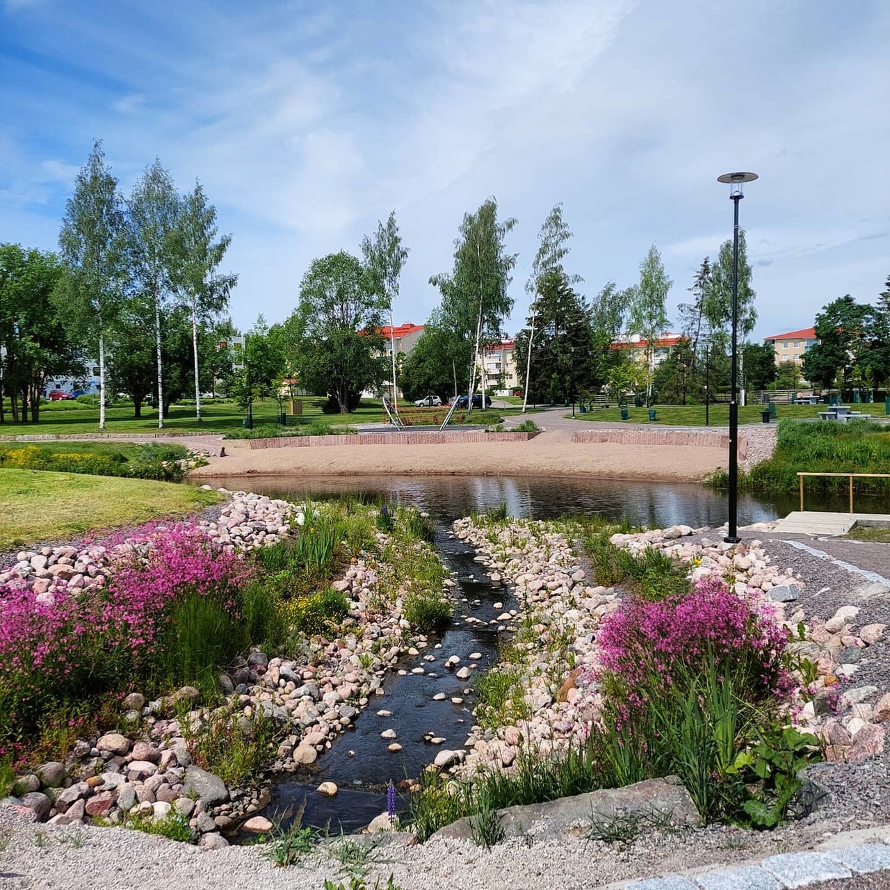 Joen rannasta kanervan väristen kukkaistutusten takaa näkymä pienelle hiekkarannalle joen toisella puolella. Takana näkyy puustoa ja hieman kerrostaloja.